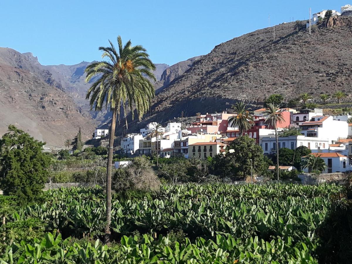Los Olivos Playa de Santiago  Dış mekan fotoğraf