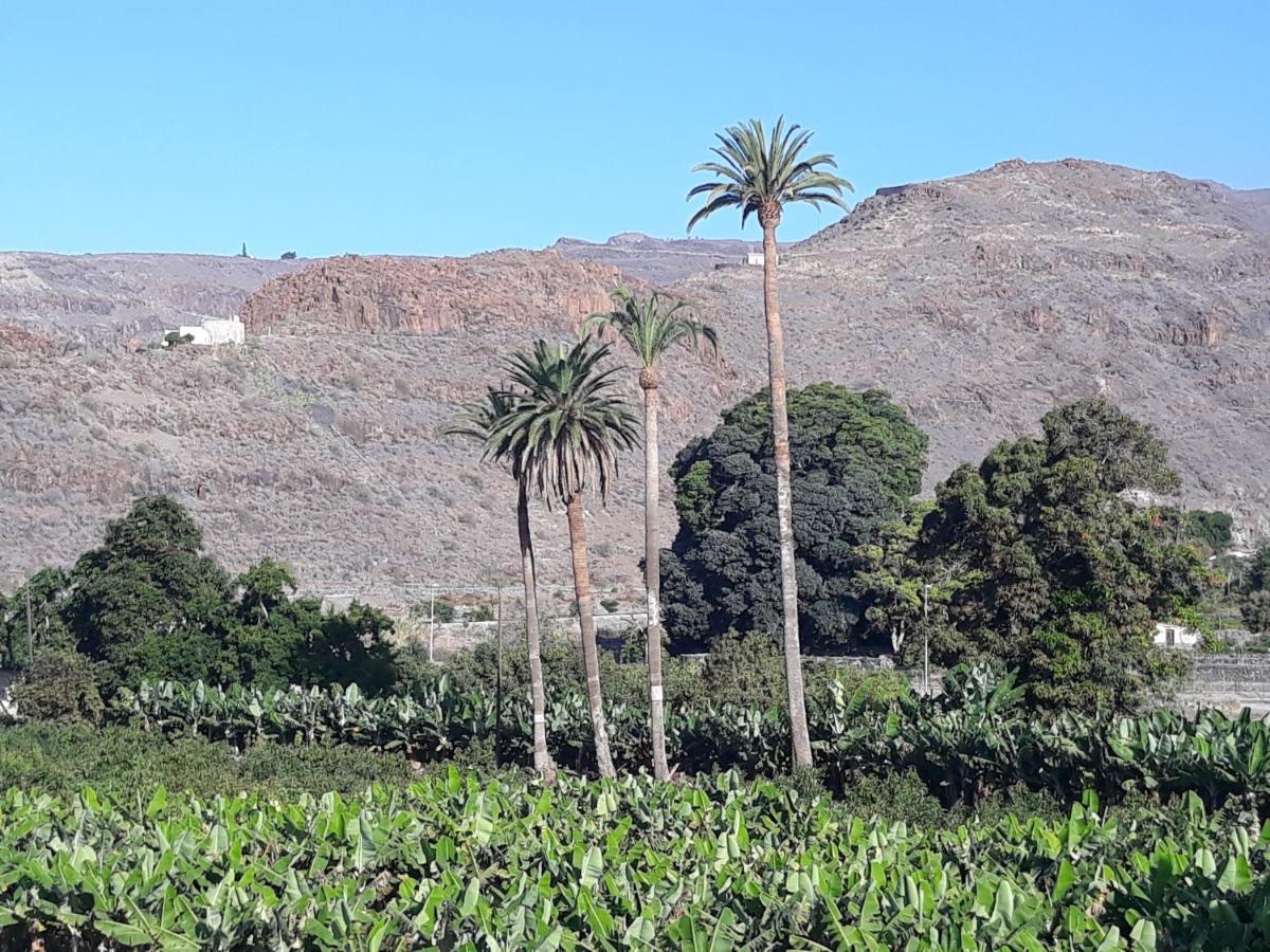 Los Olivos Playa de Santiago  Dış mekan fotoğraf