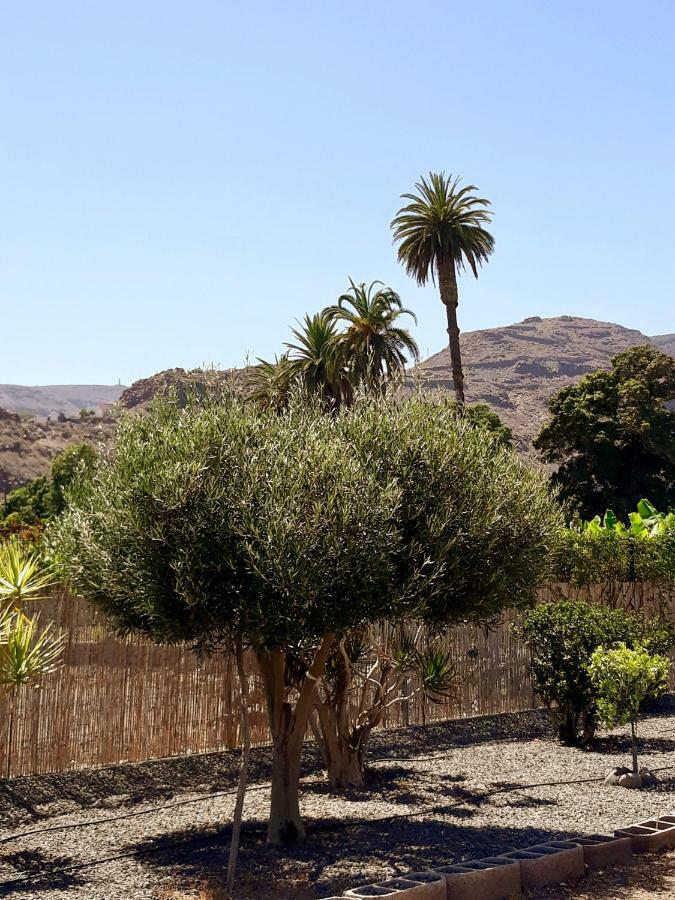 Los Olivos Playa de Santiago  Dış mekan fotoğraf